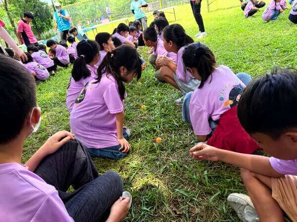 傾聽我說團康遊戲（考驗專注力）：緹森美語戶外教學